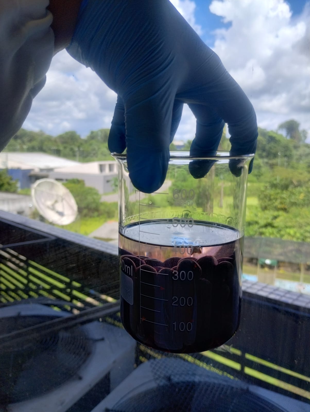 Centro de Valorização de Compostos Bioativos da Amazônia