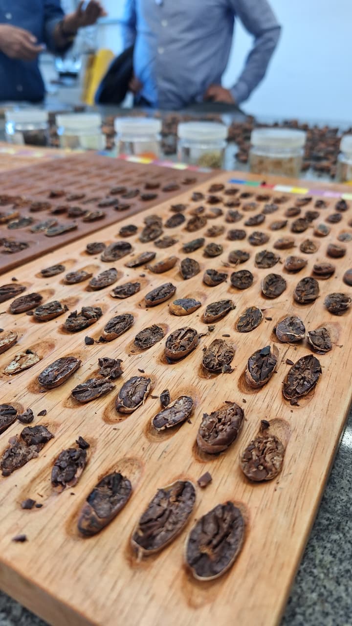 Pesquisa Aplicada à Bioeconomia